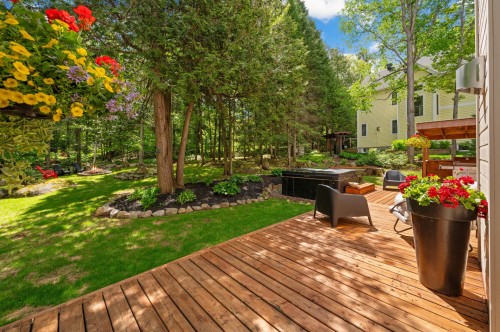 Cour - 74 Rue Balmoral, Morin-Heights, QC - Outdoor