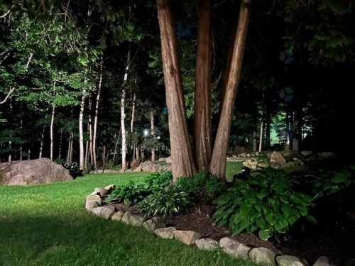 Cour - 74 Rue Balmoral, Morin-Heights, QC - Outdoor