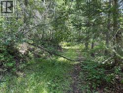 4069 East Barriere Lake Road Barriere, BC V0E 1E0