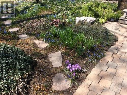 23 Woodlawn Avenue, Ottawa, ON - Outdoor