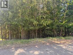 Lot 8 Stampede Trail Anglemont, BC V0E 1M8