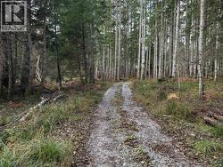 4644 CENTRAL ROAD Texada Island, BC V0N 3K0