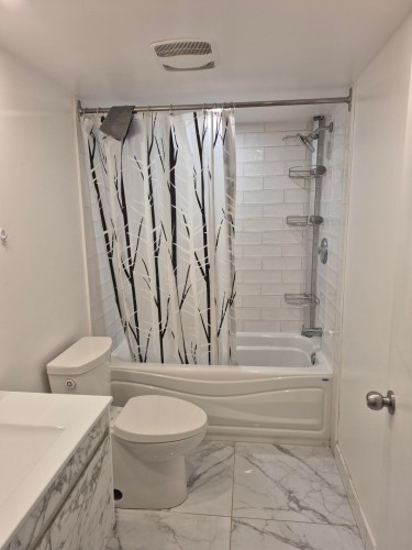 Bathroom - 3255  - A Rue De Cadillac, Montréal (Mercier/Hochelaga-Maisonneuve), QC - Indoor Photo Showing Bathroom