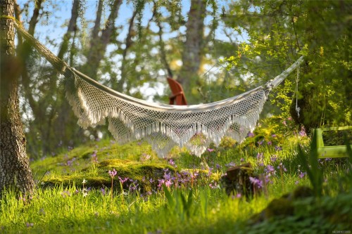 4836 Spring Rd, Saanich, BC 