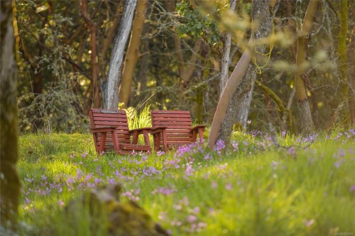 4836 Spring Rd, Saanich, BC 