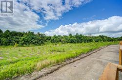 PDI Photo - backyard (ravine view) 3 - 