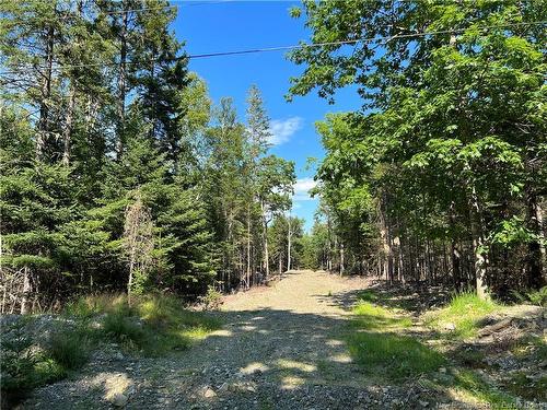 - Hills Point Rd, Oak Bay, NB 