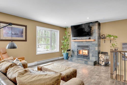 Salon - 154 Ch. Du Roi, Saint-Hippolyte, QC - Indoor Photo Showing Living Room With Fireplace