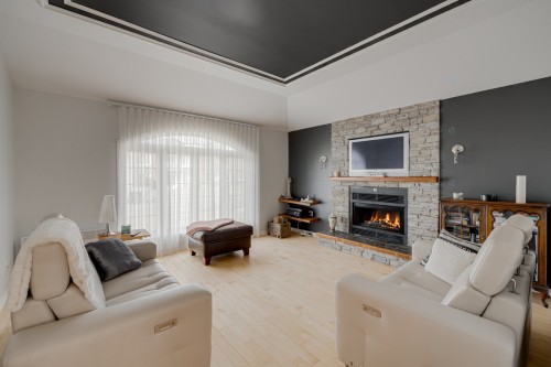 Salon - 304 Rue Hardy, Saint-Basile, QC - Indoor Photo Showing Living Room With Fireplace