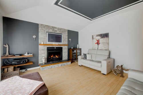 Salon - 304 Rue Hardy, Saint-Basile, QC - Indoor Photo Showing Living Room With Fireplace