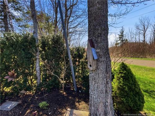 20 Forest Grove Rd, Moncton, NB 