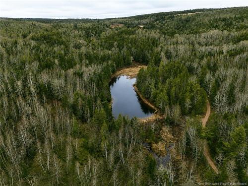 Lot Shaw Rd, Shenstone, NB 