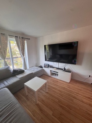 Living Room - 5-700 Rue Léonard-Chaigneau, Montréal (Rivière-Des-Prairies/Pointe-Aux-Trembles), QC - Indoor Photo Showing Living Room