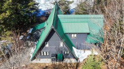 Aerial View - 