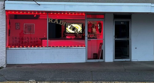 81 Trunk Rd, Duncan, BC 