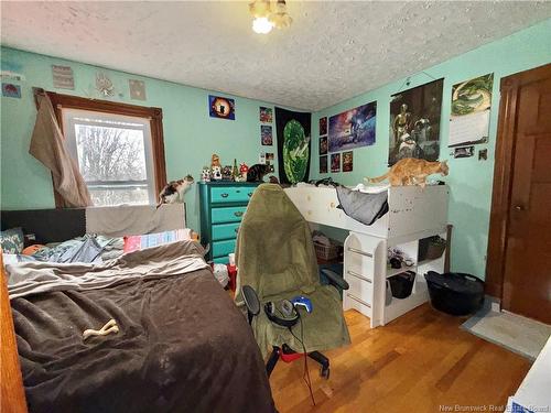 13 Lake Ave, Mcadam, NB 