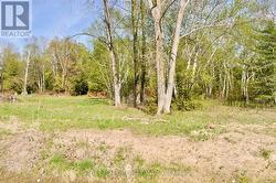 PART 5 W. IPPERWASH ROAD Lambton Shores, ON N0N 1J3