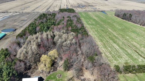 Extérieur - 1194 Route 116, Acton Vale, QC - Outdoor With View