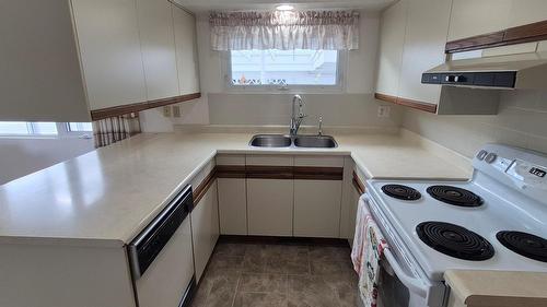 523 8Th Street, Cranbrook, BC - Indoor Photo Showing Kitchen With Double Sink