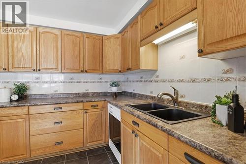 111 Selkirk Drive, Kitchener, ON - Indoor Photo Showing Kitchen With Double Sink