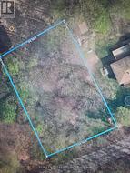6 OAKWOOD AVENUE Tiny, ON N3Y 1H3