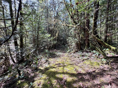 4621 Tipperary Rd, Duncan, BC 