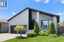 Modern facade featuring a prominent black vertical accent, expansive driveway, two-car garage, manicured lawn, and mature landscaping - 17 Clearview Drive, Hamilton, ON  - Outdoor 