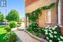3809 Candlelight Drive, Mississauga, ON  - Outdoor 