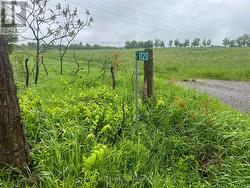 1020 LARMER LINE Cavan Monaghan (Cavan Twp), ON K0L 1V0