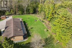 backyard views - 