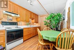 lower level kitchenette - 