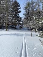beautiful winter view - 