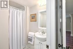 Lower level guest bath - 
