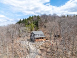 Aerial View - 
