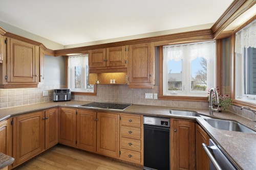 Cuisine - 6625  - 6635 Rue Du Clocher, Saint-Hyacinthe, QC - Indoor Photo Showing Kitchen With Double Sink