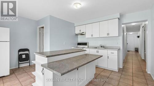 111 Hillyard Street, Hamilton, ON - Indoor Photo Showing Kitchen