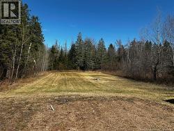 46 Ch Saint Paul Rogersville, NB E4Y 1W2