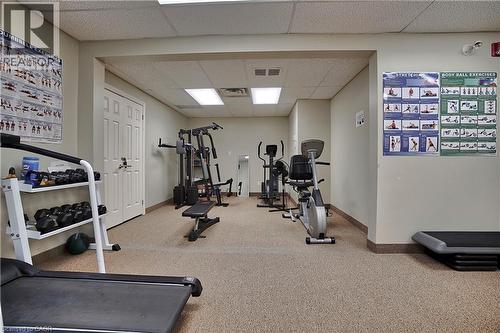 103 Kells Lane, Freelton, ON - Indoor Photo Showing Gym Room