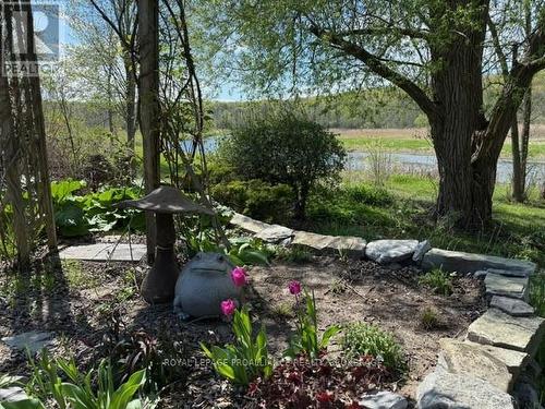 727 Aylmer Crescent, Kingston (South Of Taylor-Kidd Blvd), ON - Outdoor
