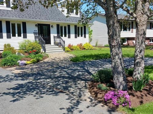 459 Waverley Road, Dartmouth, NS 