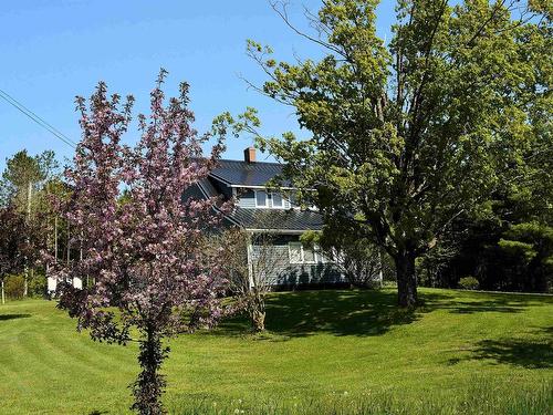 19 Highway 336, Upper Musquodoboit, NS 