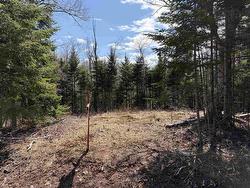 Lot GM25-2 Charmac Road Valley, NS B6L 3E4