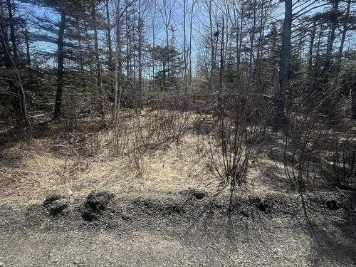 Lot Hampton Mountain Road, Hampton, NS 