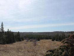 Lot 25-1 Dixon Road Breadalbane, PE C0A 1B0