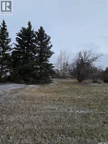 403 Assiniboia Avenue, Sedley, SK 