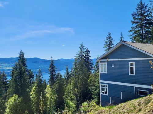 7660 Lichen Road, Anglemont, BC - Outdoor