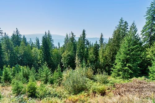7660 Lichen Road, Anglemont, BC - Outdoor