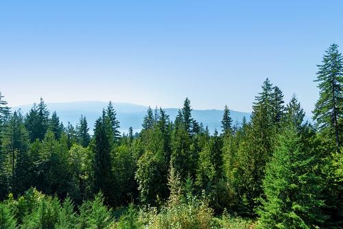 7660 Lichen Road, Anglemont, BC - Outdoor With View