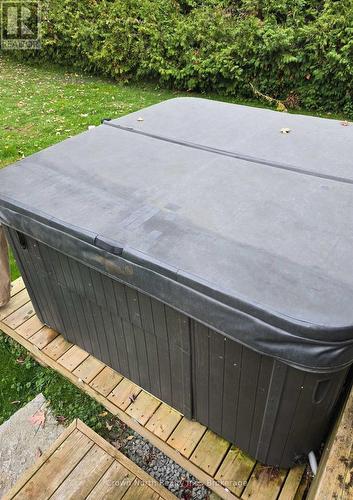 HotTub and All Accessories - 39 Turtle Path, Ramara, ON - Outdoor