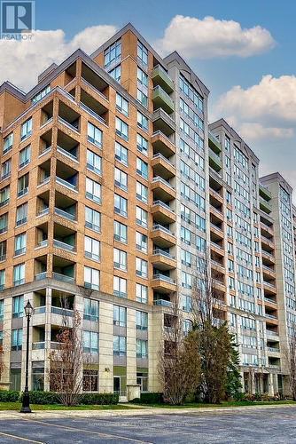 203 - 29 NORTHERN HEIGHTS DRIVE  Richmond Hill, ON L4B 4L8